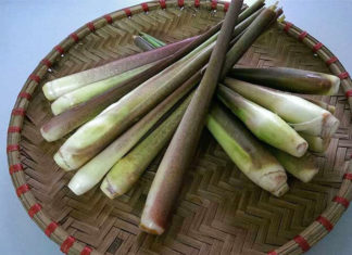 8 Common Vegetables That Can Cause Parasitic Infection If Not Properly Cooked