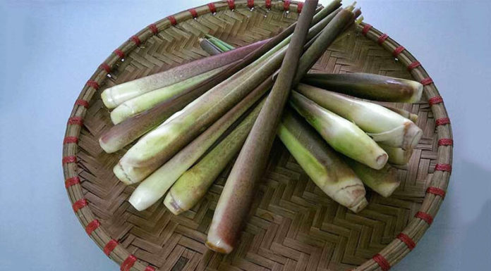 8 Common Vegetables That Can Cause Parasitic Infection If Not Properly Cooked