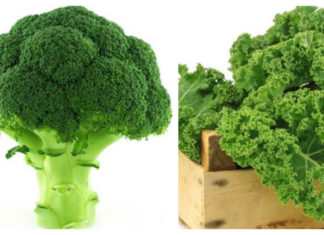 4 vegetable types richer in iron than beef: Affordable and nutritious alternatives to medicine.