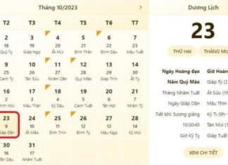 Best and Worst Times to Schedule your Activities on 23/10/2023, the day of the Double Ninth Festival, to attract good luck