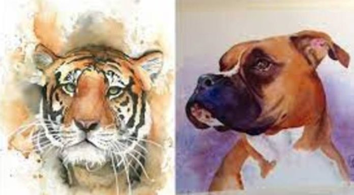 Fortune’s Dream: Prosperity at the Age of 4, Wealthy Until Lunar New Year 2024