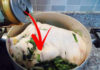 Ginger-boiled duck with diluted water is wrong: Add this to completely eliminate the strong odor, double the flavor
