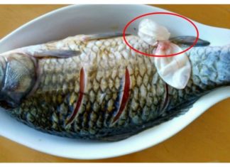 Eat Fish Don’t Just Focus on Eating Meat: These Are the 5 Nutrient-Rich Parts That Many People Overlook