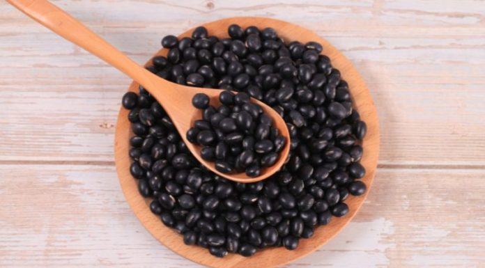 Top 5 Colorful Foods for Organ Health