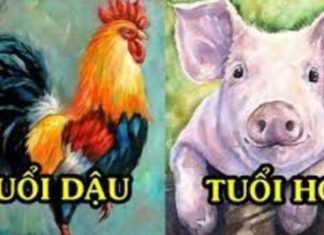 5 Zodiac signs become wealthier as they age, finding happiness and prosperity in their later years.