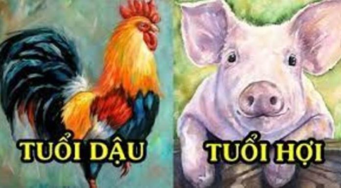 5 Zodiac signs become wealthier as they age, finding happiness and prosperity in their later years.