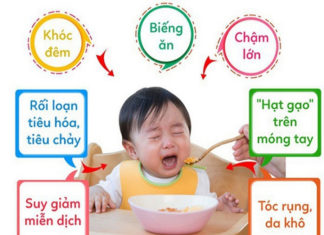 End picky eaters and weak resistance in children, parents shouldn’t overlook Thach Wizee for tasty meals
