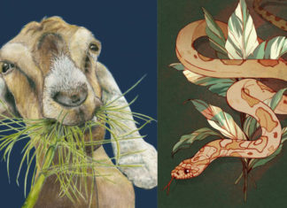 Wealth Blossoms: 4-Year-Old Prodigy Secures Second Spot in 2024’s Rich List