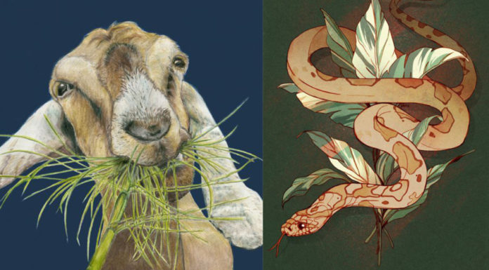 Wealth Blossoms: 4-Year-Old Prodigy Secures Second Spot in 2024’s Rich List