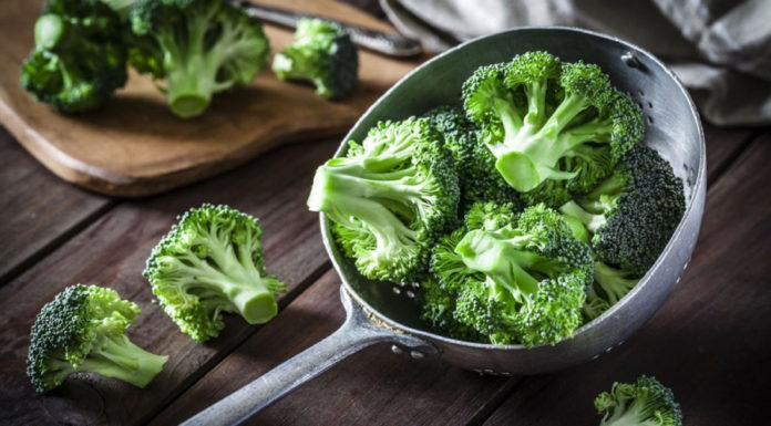 6 Delicious and Nutritious Types of Vegetables: All Clean and Pesticide-Free