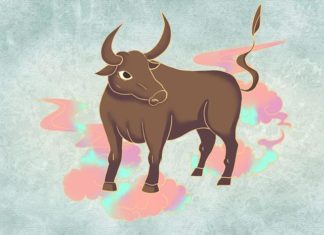 An Enchanting Evening: Koi Fish Turns Into a Dragon – A Wealthy 4-year-old with a Loving Heart and an Exhilarating Experience