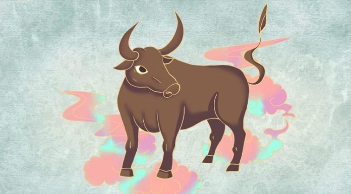 An Enchanting Evening: Koi Fish Turns Into a Dragon – A Wealthy 4-year-old with a Loving Heart and an Exhilarating Experience