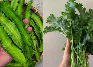 9 Calcium-Rich Vegetables That Beat Milk and Bone Broth: Eat Without Regret