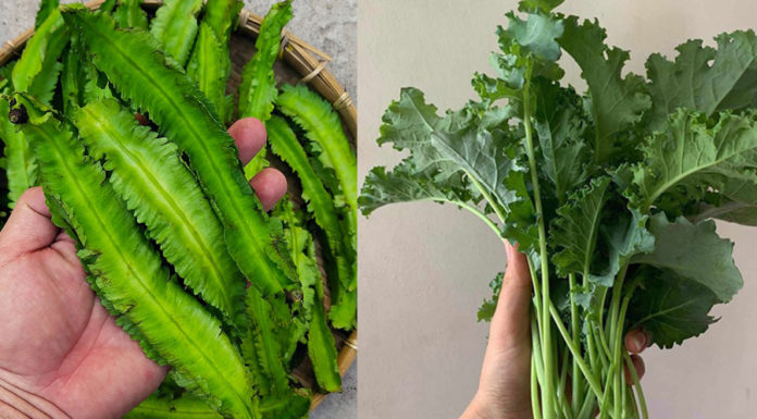 9 Calcium-Rich Vegetables That Beat Milk and Bone Broth: Eat Without Regret