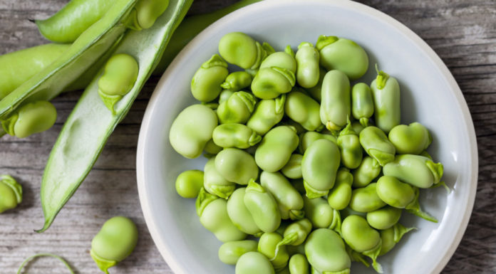 “Miracle Brain-Boosting Superfood: Double the protein of eggs, this seed is the ultimate mind enhancer!”