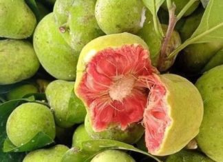 Cut this fruit into small pieces and cook it with fish: No more fishy smell, the fish is firm and delicious.