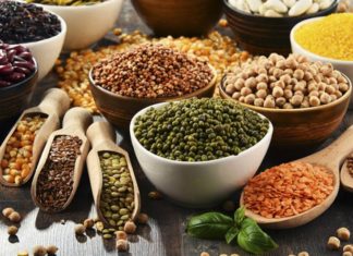 Top 5 Best Snacks for Children