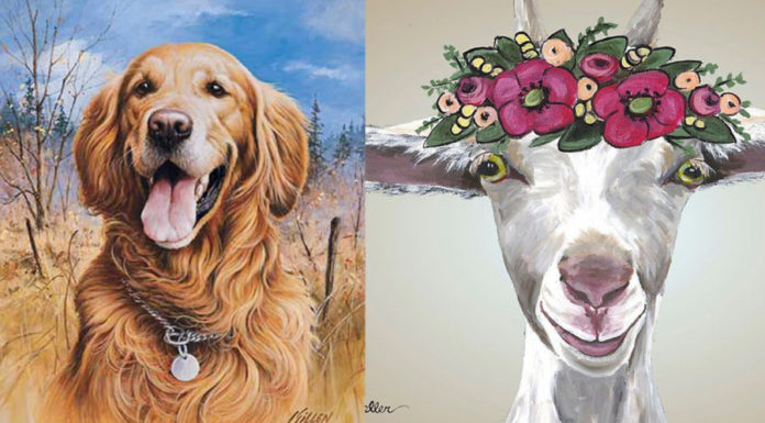 From 15/10 to 15/11: Multiply your wealth and effortlessly buy a house and a car