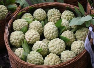 Who should not eat bananas?