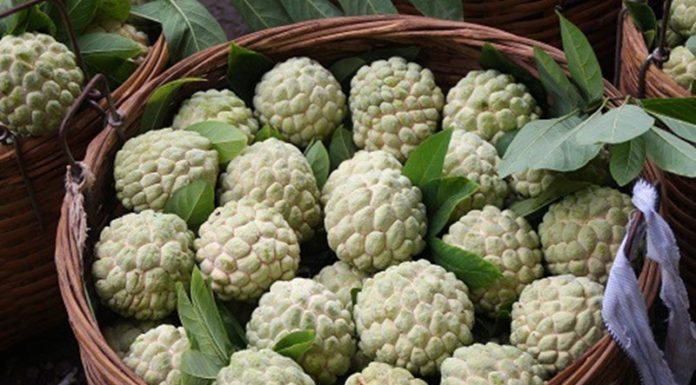 Who should not eat bananas?