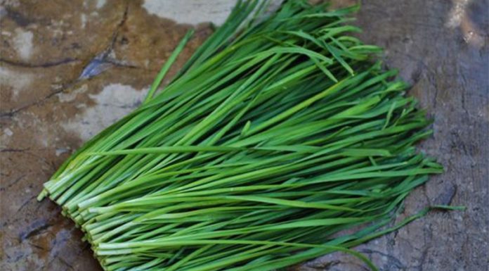 Must buy these 3 types of vegetables when going to the market: Cheap and more nutritious than beef