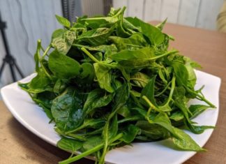 A Tree with Nutritious Leaves: Contains Twice the Calcium of Milk, Eat Only the Fruit