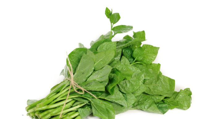 “Discover the incredibly delicious and affordable ‘calcium powerhouse’ vegetable that everyone is falling in love with”