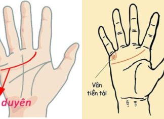 Women with exceptional skills typically have these 5 common traits, wealth is not the only measure