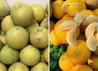 Preserve the freshness and sweetness of your Diễn pomelo for up to 4 months with this storage method