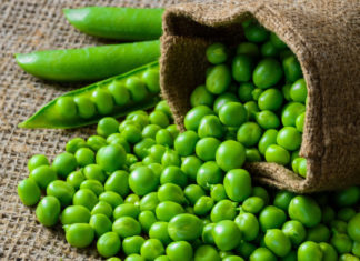 Keep Dutch beans fresh for longer, don’t put them in the fridge right away, do this extra step, beans will still be juicy after half a year.