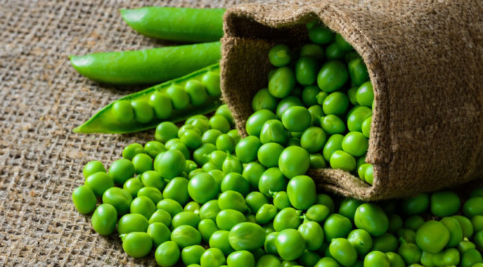 Keep Dutch beans fresh for longer, don’t put them in the fridge right away, do this extra step, beans will still be juicy after half a year.