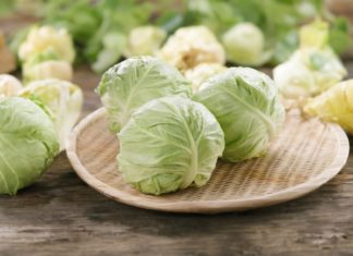 4 Foods to Avoid for a Healthy Body: Say No to Cabbage for Better Health