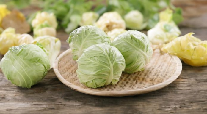 4 Foods to Avoid for a Healthy Body: Say No to Cabbage for Better Health
