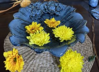 Place a clean water bowl at this unexpected household location, simple and everyone wants to do it