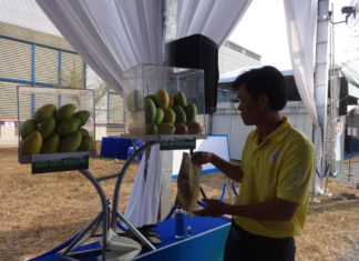 The meeting place for fruit tree ‘experts’