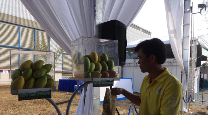 The meeting place for fruit tree ‘experts’