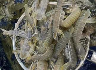 4 essential places to check when buying a house, choosing wrong can lead to a “hollow” purchase