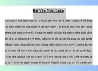 Automatically and Free: Convert Word Files to Images
