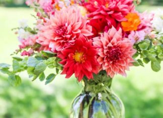 The Surprising and Amazing Benefits of Submerging Flower Stems in Boiling Water that Many People Don’t Know