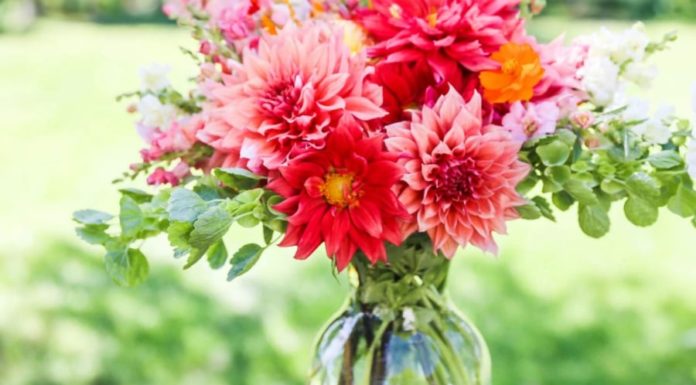 The Surprising and Amazing Benefits of Submerging Flower Stems in Boiling Water that Many People Don’t Know