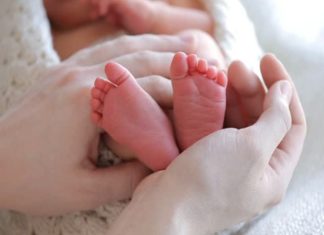 3 Body Parts in Children, the more parents touch, the more intelligence improves.