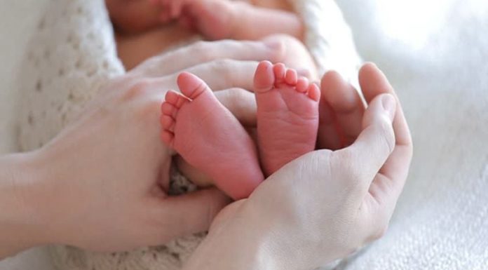 3 Body Parts in Children, the more parents touch, the more intelligence improves.