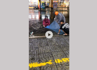 Pocket the TOP 5 ways to remove tiktok text on downloaded videos effortlessly and swiftly