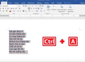 The 4 quickest and easiest ways to highlight text in Word using your mouse and keyboard shortcuts