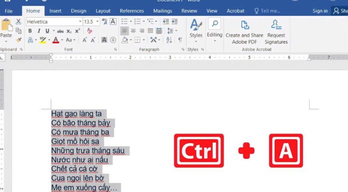 The 4 quickest and easiest ways to highlight text in Word using your mouse and keyboard shortcuts
