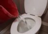 The Surprising Harm in Flushing Waste Down the Toilet: 4 Reasons