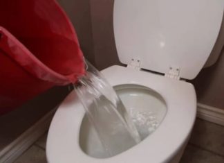 The Surprising Harm in Flushing Waste Down the Toilet: 4 Reasons