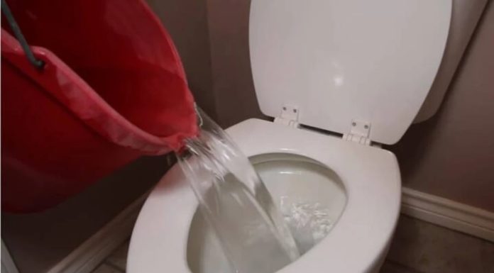 The Surprising Harm in Flushing Waste Down the Toilet: 4 Reasons