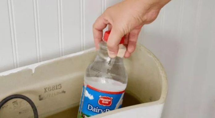 What happens when you place a plastic bottle in the toilet tank?