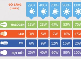 Which light bulb is the most energy-consuming? LED light bulb, Halogen light bulb, Compact light bulb, or Incandescent light bulb?